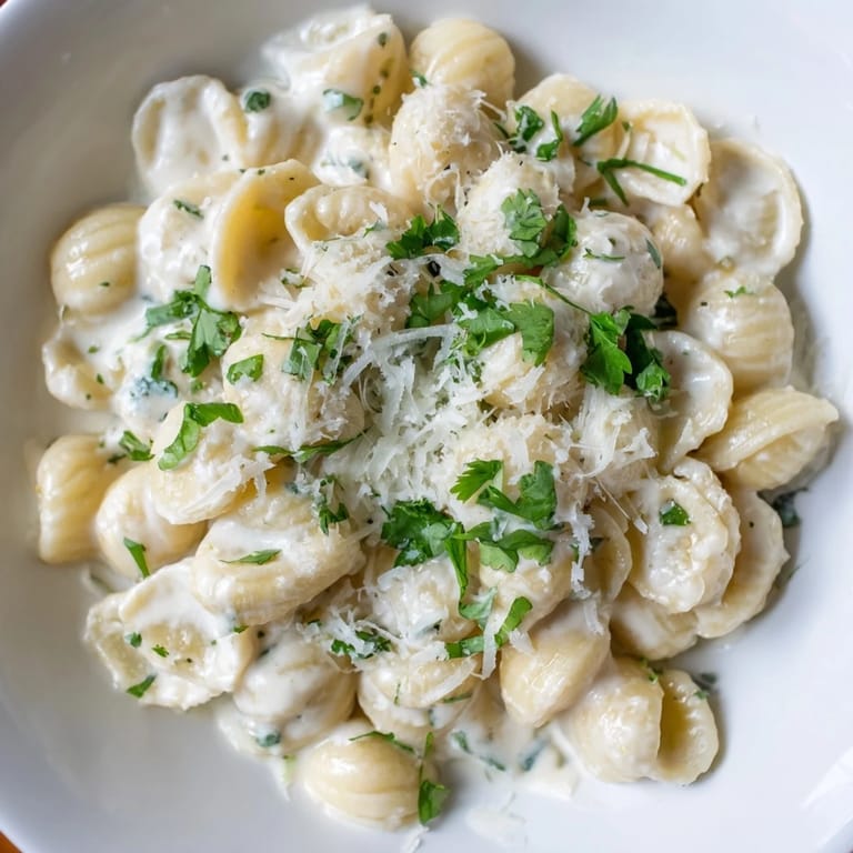 This photo shows a comforting bowl of creamy garlic ditalini pasta, ready to enjoy.